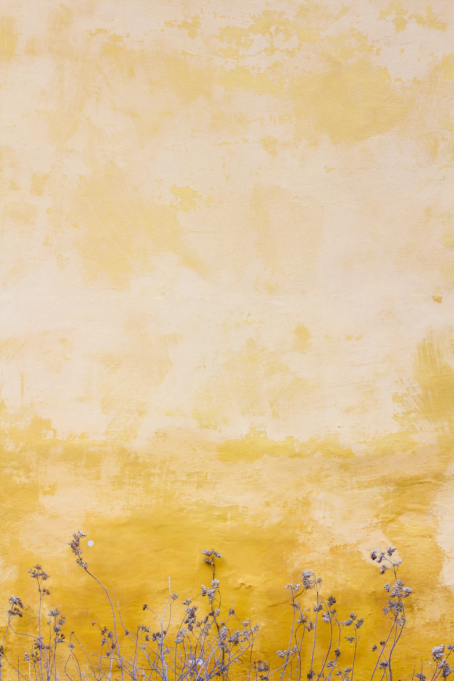 Folhagem verde suave sobre fundo claro, referência de herbário